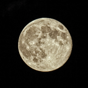 The Perigee Moon over Blackheath