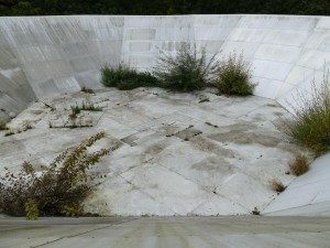 The decommissioned 1995 Cosmic Anisotropy Telescope complete with vegetation