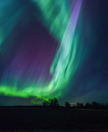 Northern Lights